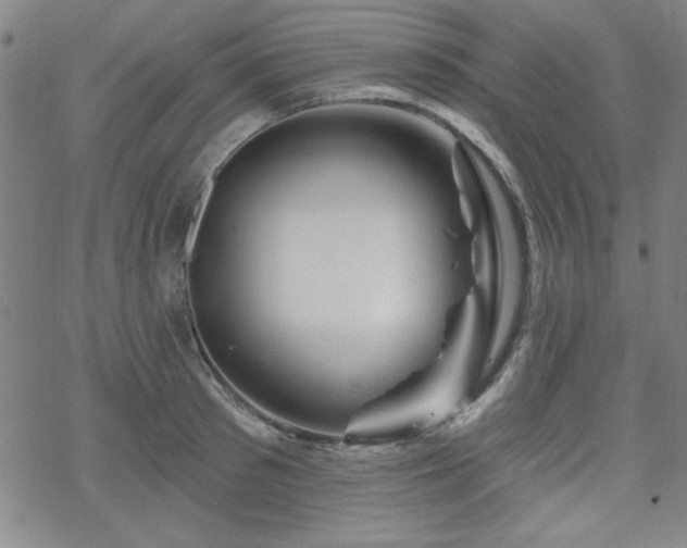 X0000070180897200606021029