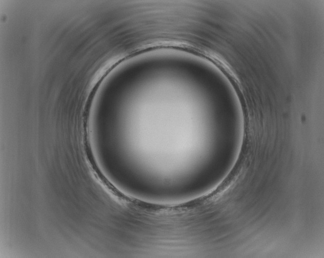 X0000070180898200606021029