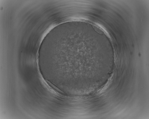 X0000070180899200606021029