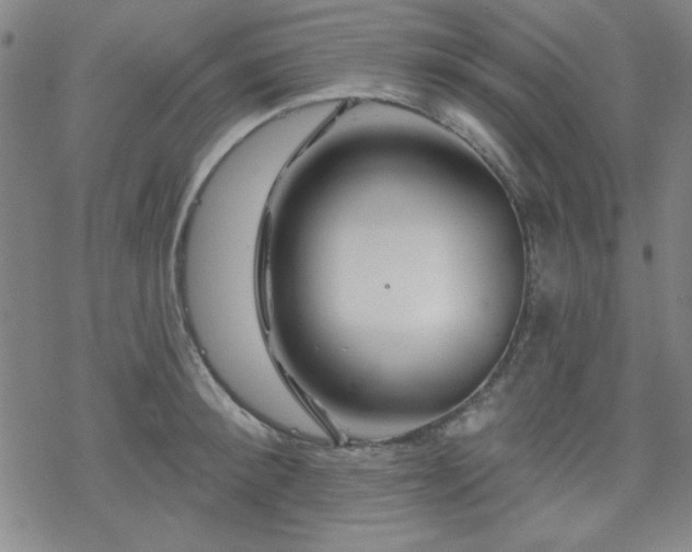 X0000070180900200606021029