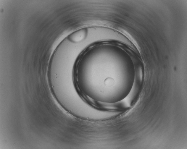 X0000070180901200606021029