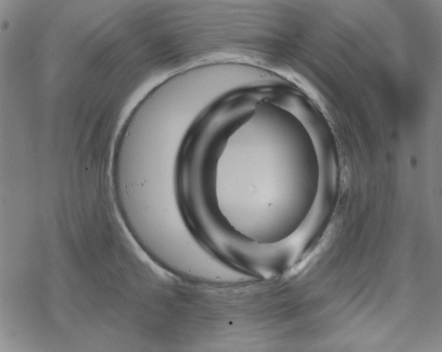 X0000070180902200606021029