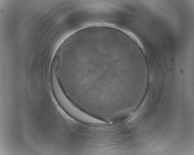 X0000070180903200606021029