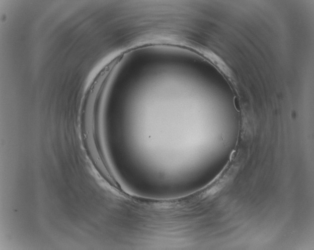 X0000070180904200606021029