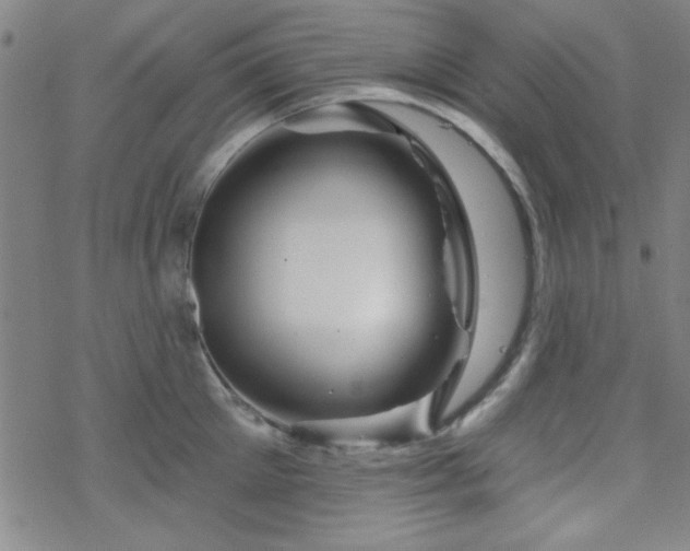 X0000070180905200606021029