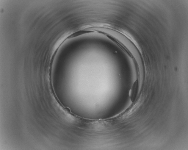 X0000070180906200606021029