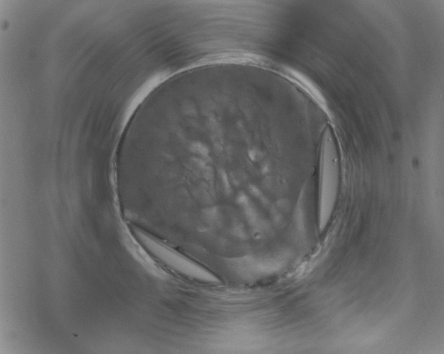 X0000070180907200606021029