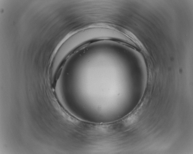 X0000070180908200606021029