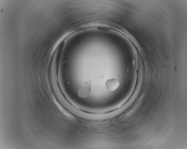 X0000070180909200606021029