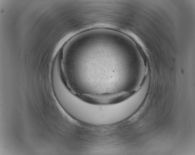 X0000070180910200606021029