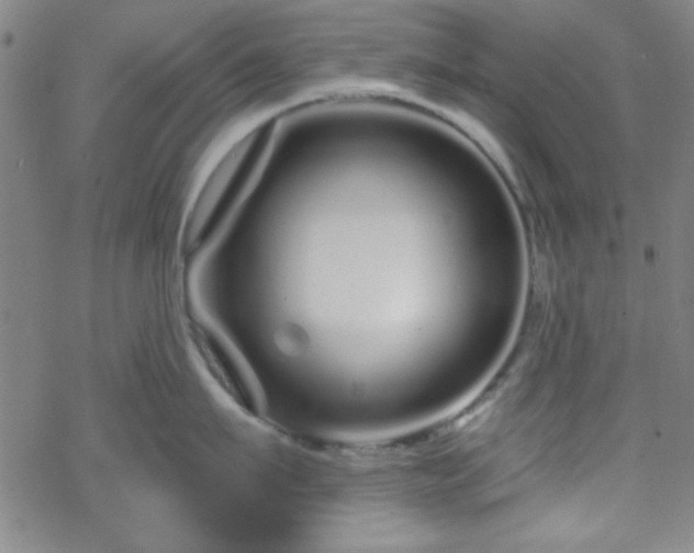 X0000070180911200606021029