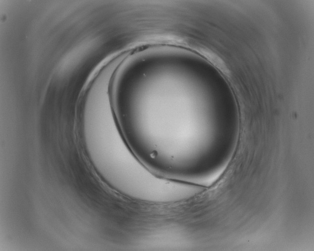 X0000070180912200606021029