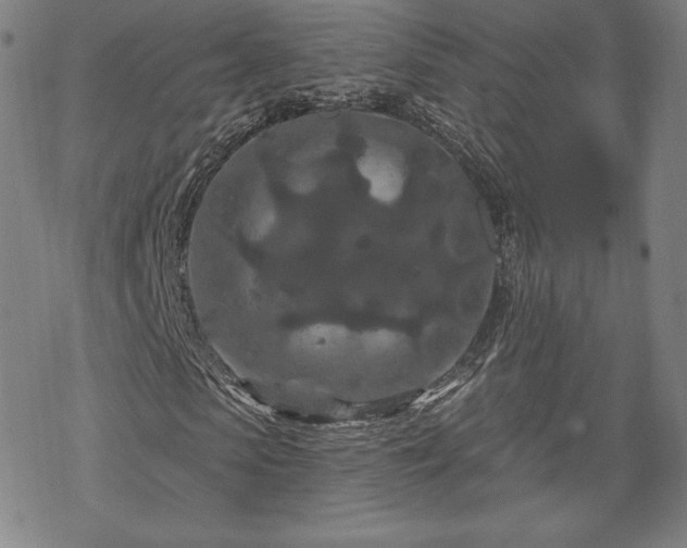 X0000070180913200606021028