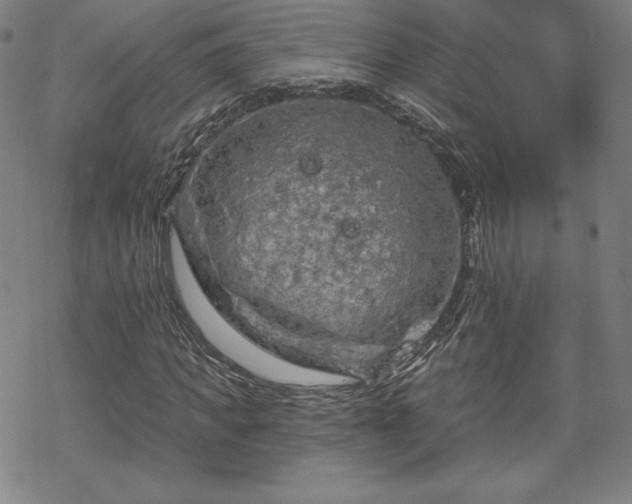 X0000070180917200606021028