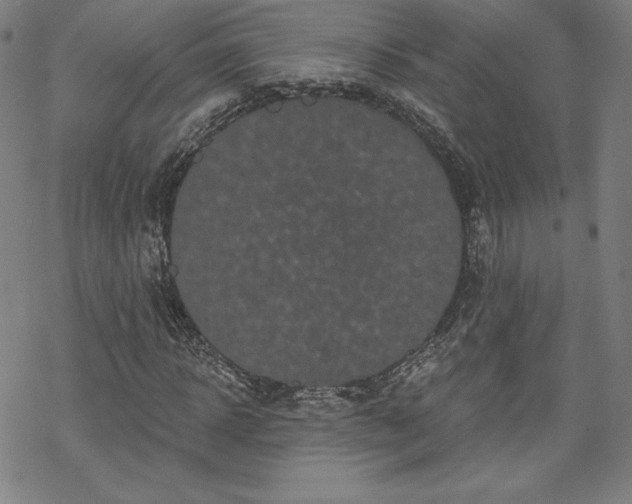 X0000070180918200606021028