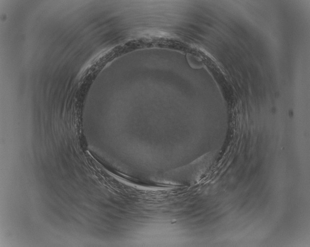 X0000070180919200606021028