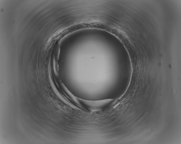 X0000070180920200606021028