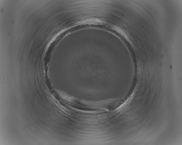 X0000070180923200606021028