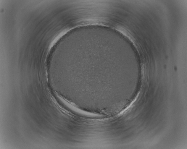 X0000070180925200606021029