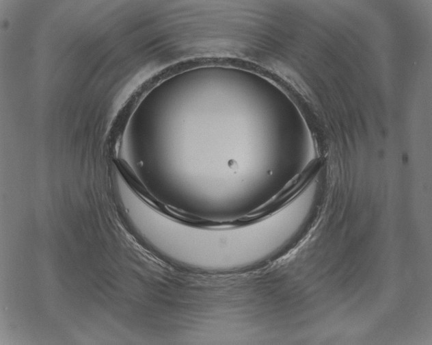 X0000070180926200606021029