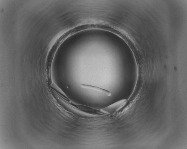 X0000070180927200606021029