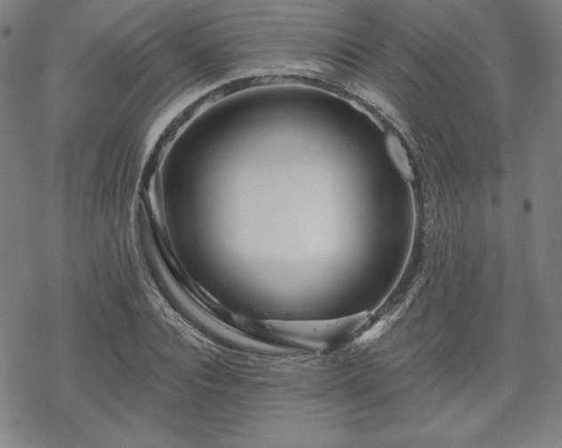 X0000070180928200606021029