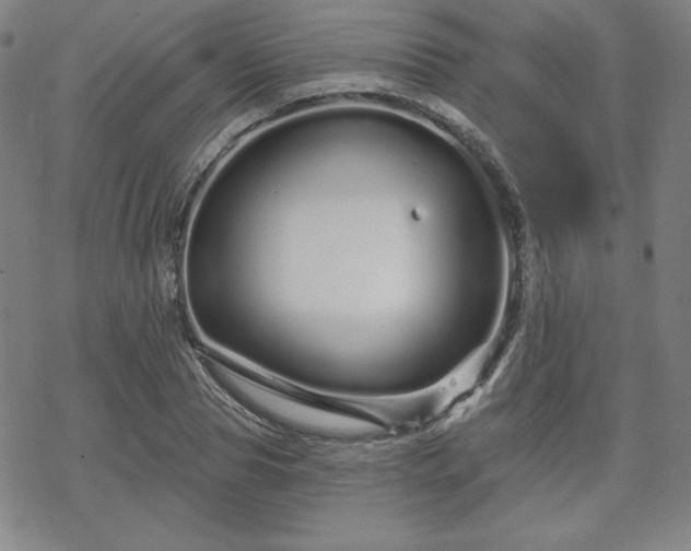 X0000070180929200606021029