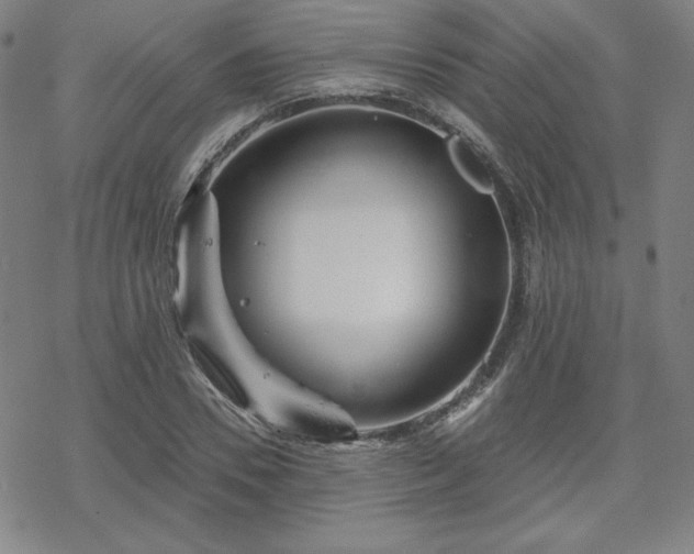 X0000070180930200606021029