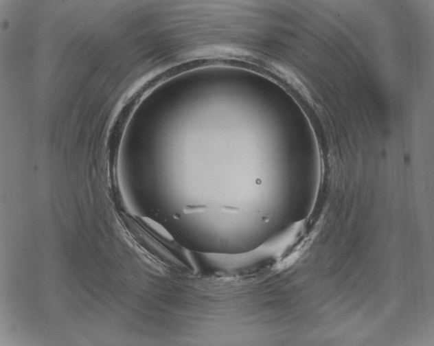 X0000070180931200606021029