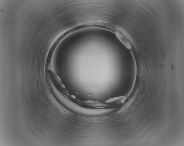 X0000070180932200606021029