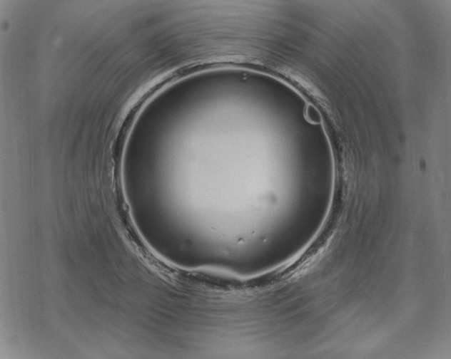 X0000070180933200606021029