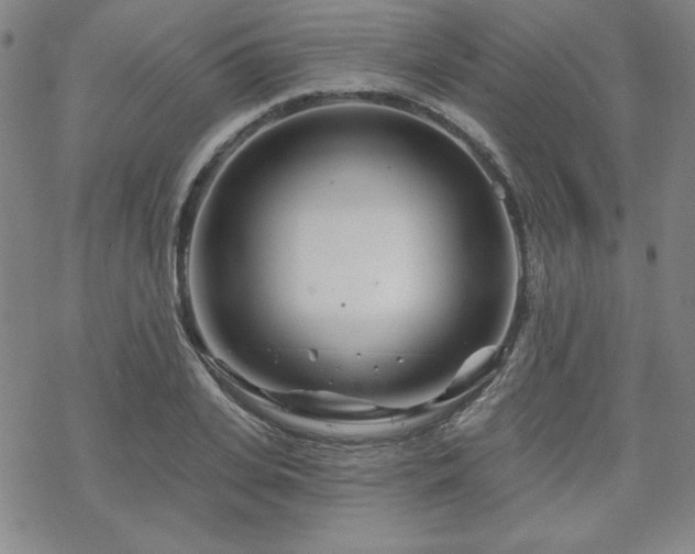 X0000070180935200606021029