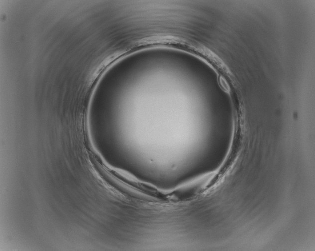 X0000070180937200606021029