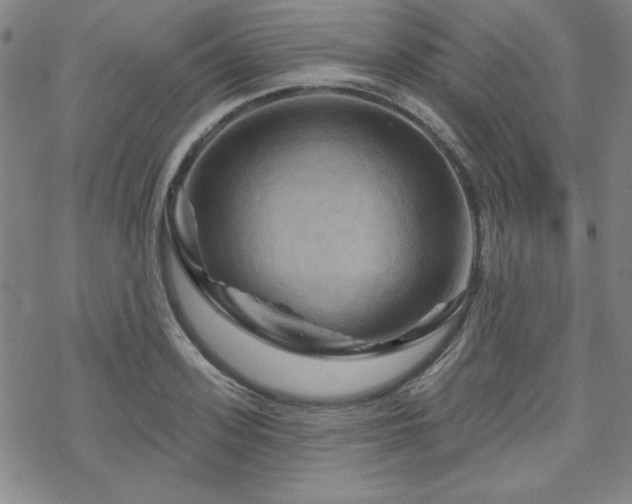 X0000070180939200606021029