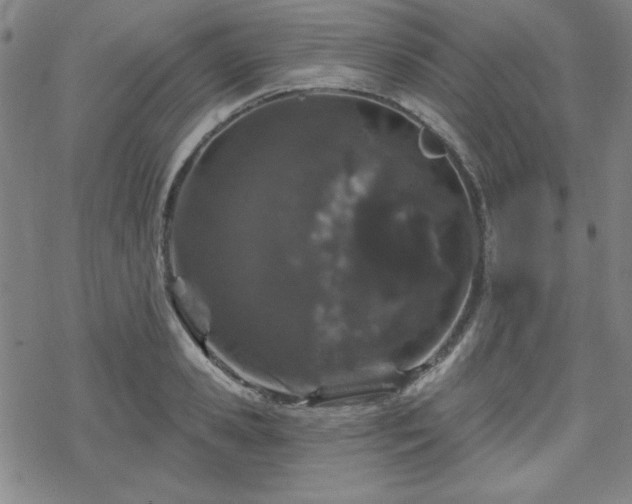 X0000070180941200606021029