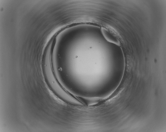 X0000070180942200606021029