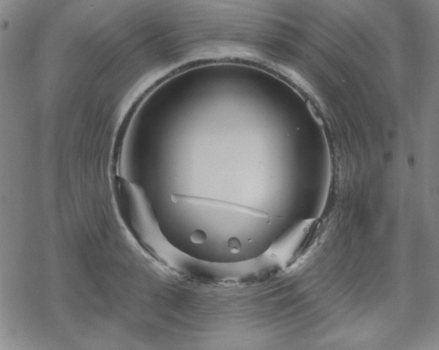 X0000070180943200606021029