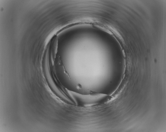 X0000070180944200606021029