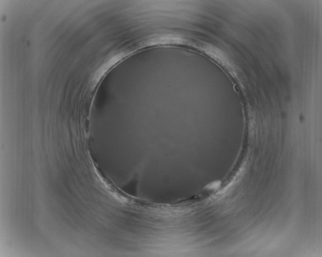 X0000070180945200606021029