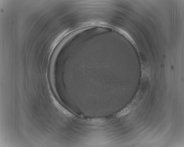 X0000070180946200606021029