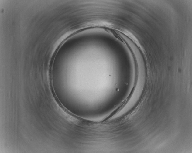 X0000070180947200606021029