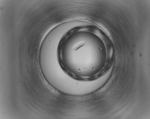 X0000070180948200606021029