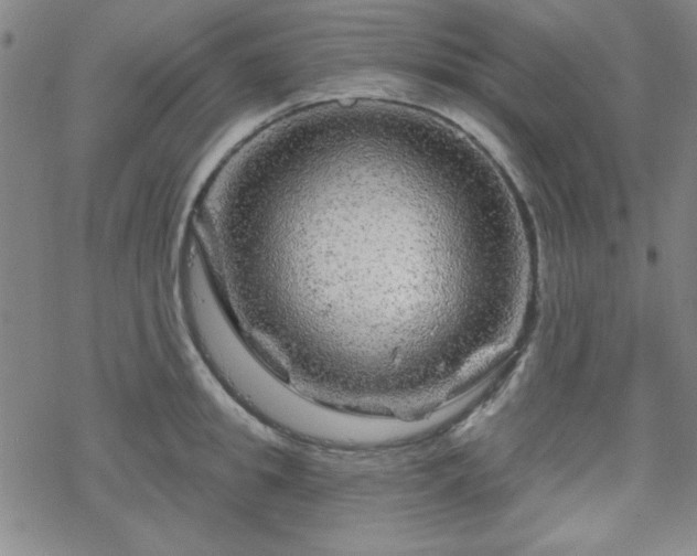 X0000070180949200606021029