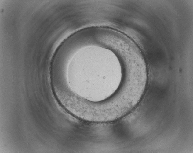 X0000070180950200606021029