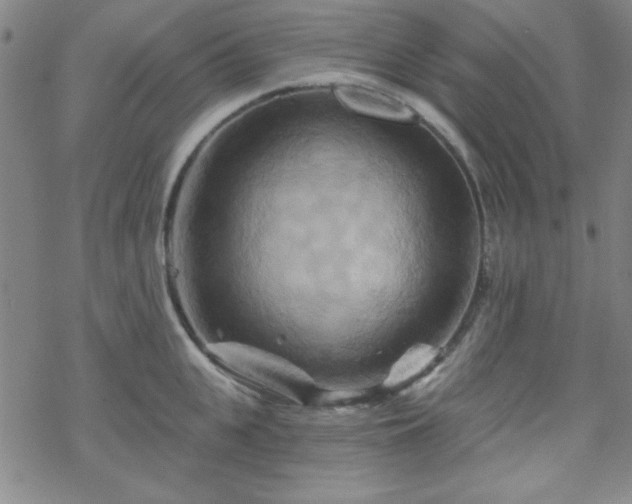 X0000070180951200606021029