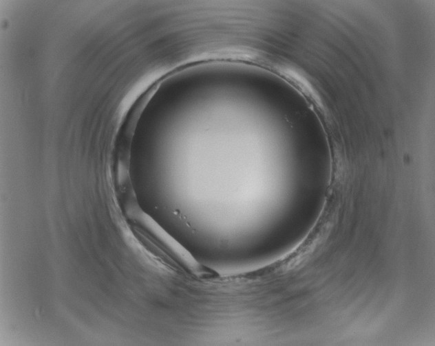 X0000070180952200606021029