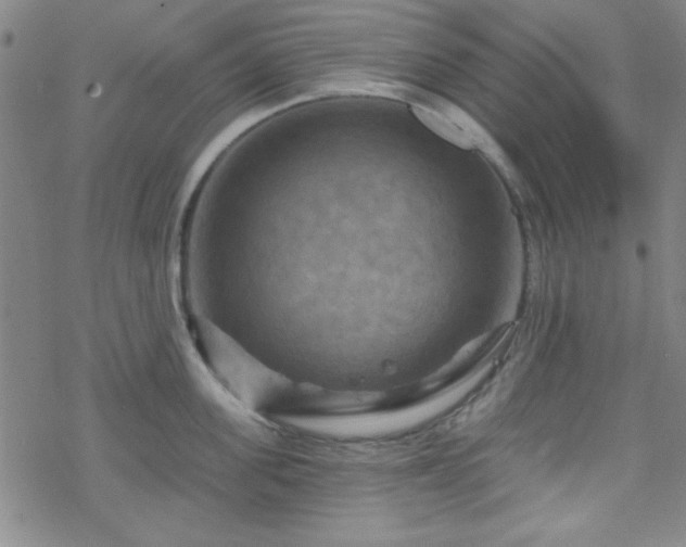 X0000070180955200606021029