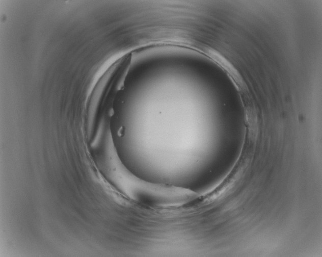 X0000070180956200606021029