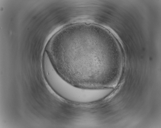 X0000070180957200606021029