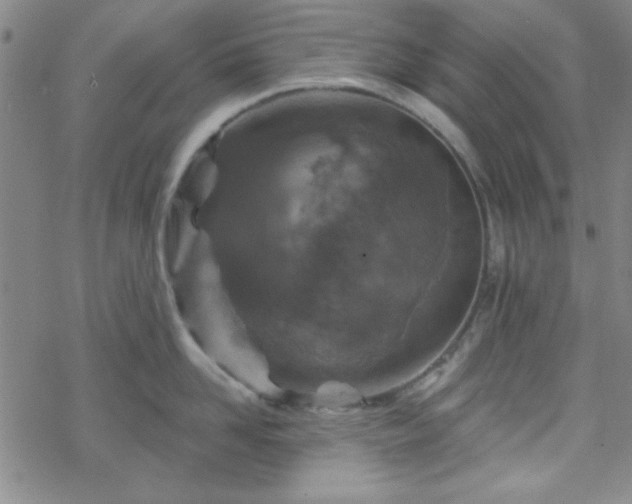 X0000070180958200606021029